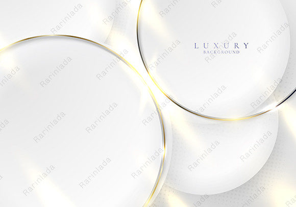 Elevating Visual Identity with Premium 3D Vector Assets